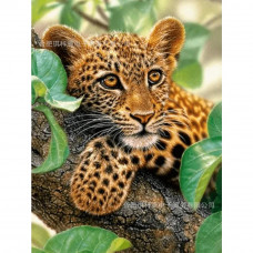 Алмазна мозаїка квадратним камінням Леопард 30*40 см (розмір полотна 34.5*44 см) у коробці 35*8*8см