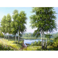 Алмазна мозаїка квадратним камінням Стрункі берези над річкою 40*30 см (розмір полотна 44*34.5 см) у коробці 35*8*8см
